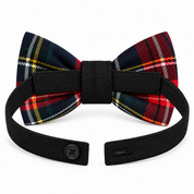 Papillon in tartan