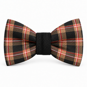 Papillon in tartan