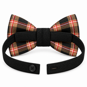 Papillon in tartan