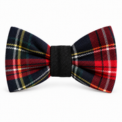 Papillon in tartan