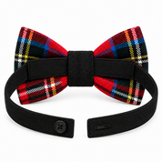 Papillon in tartan