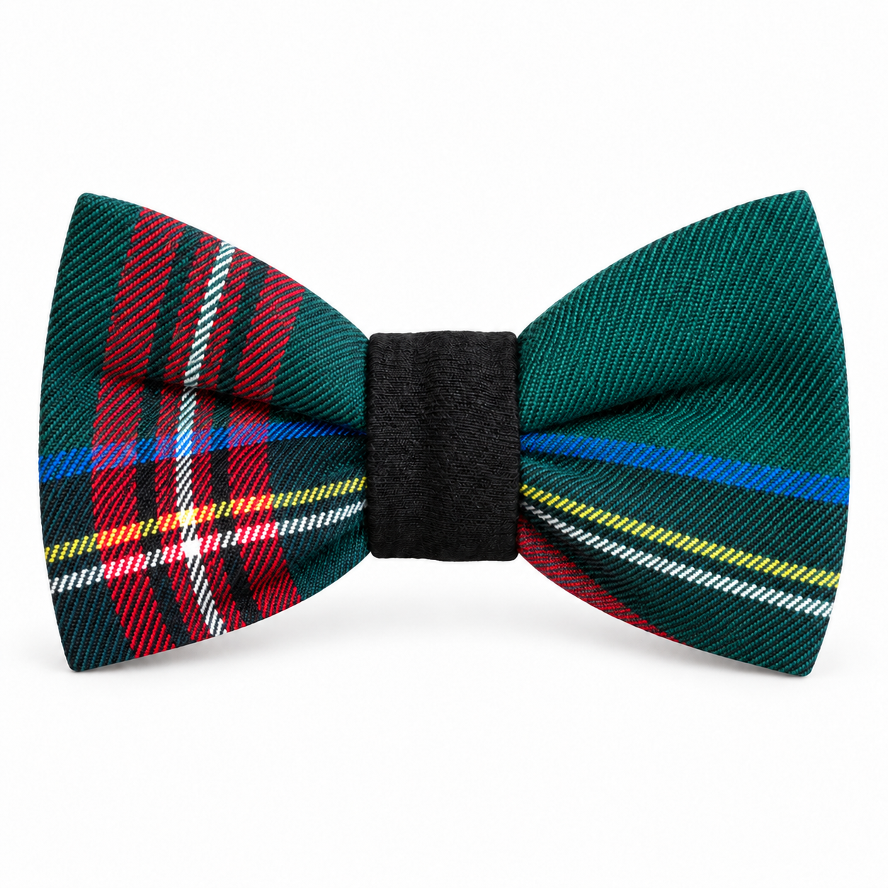 Papillon in tartan