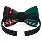Papillon in tartan
